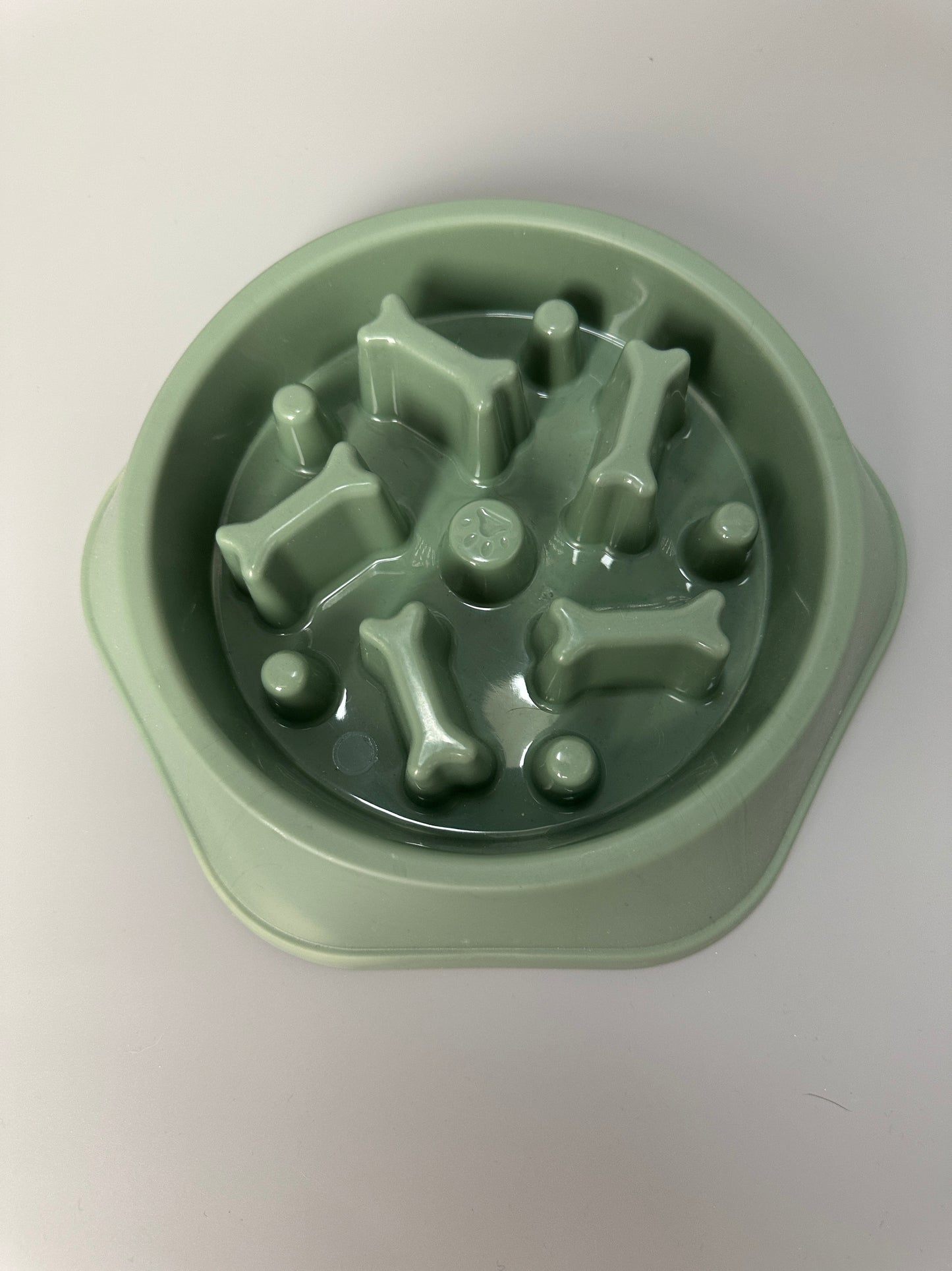 Slowfeed dog food bowl