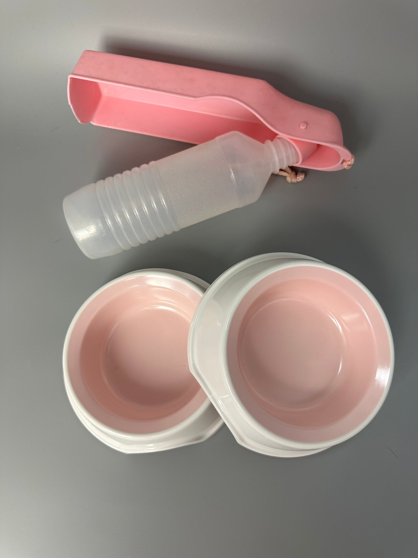 Set of two food bowls and water bottle for dog