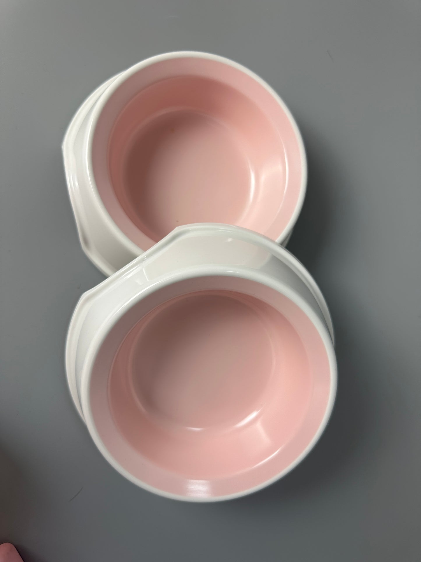 Set of two food bowls and water bottle for dog