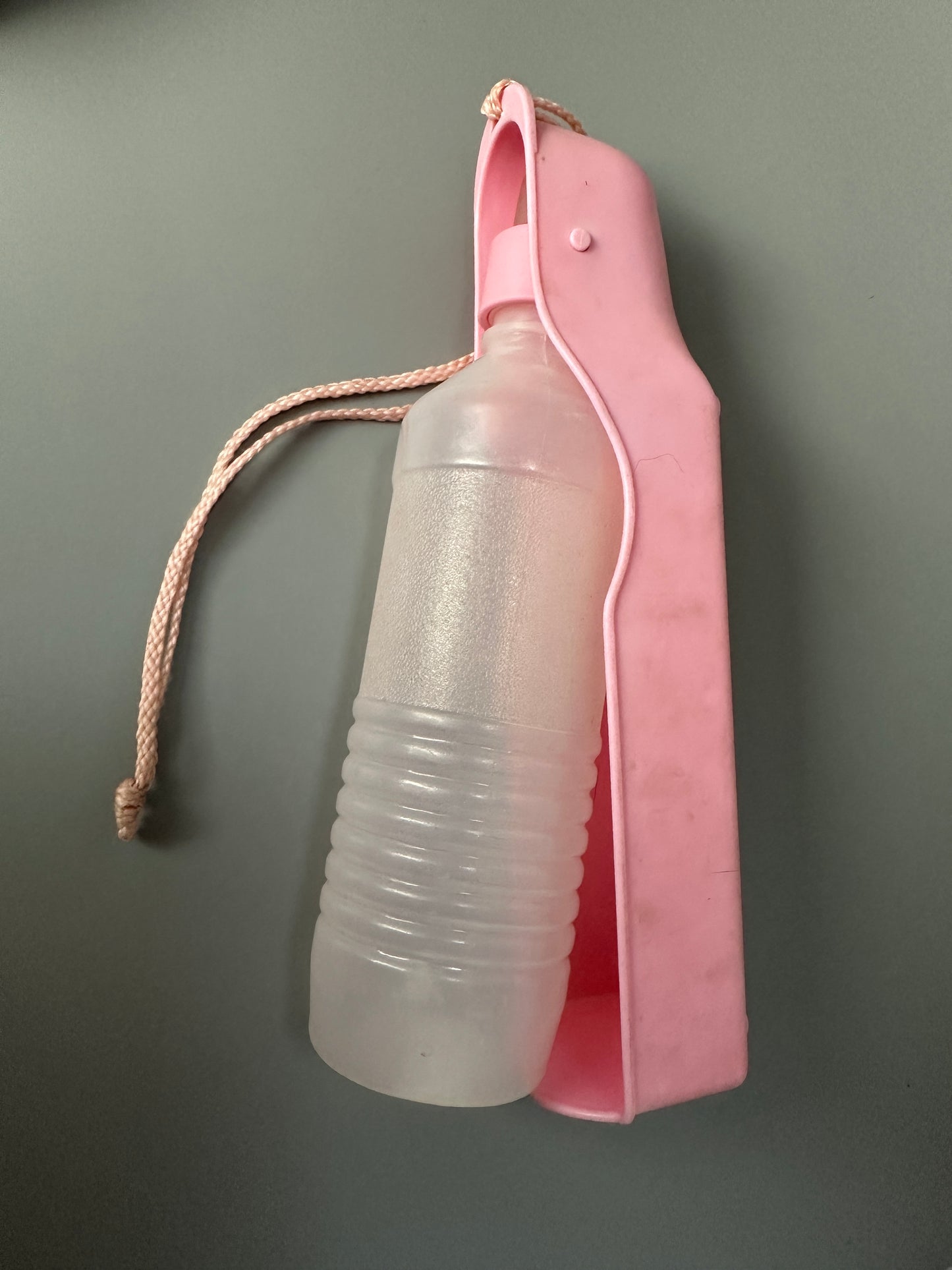 Set of two food bowls and water bottle for dog