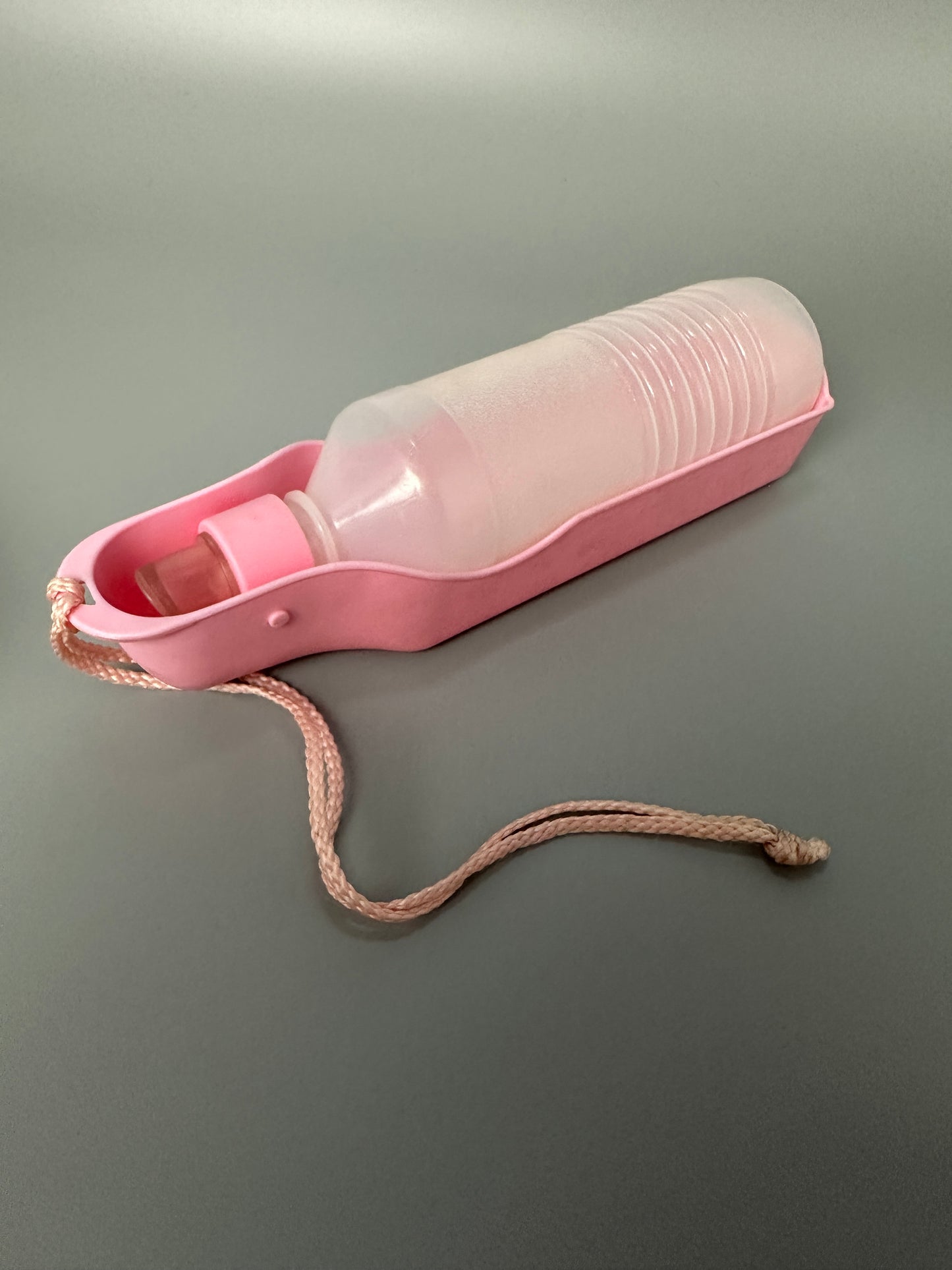 Set of two food bowls and water bottle for dog