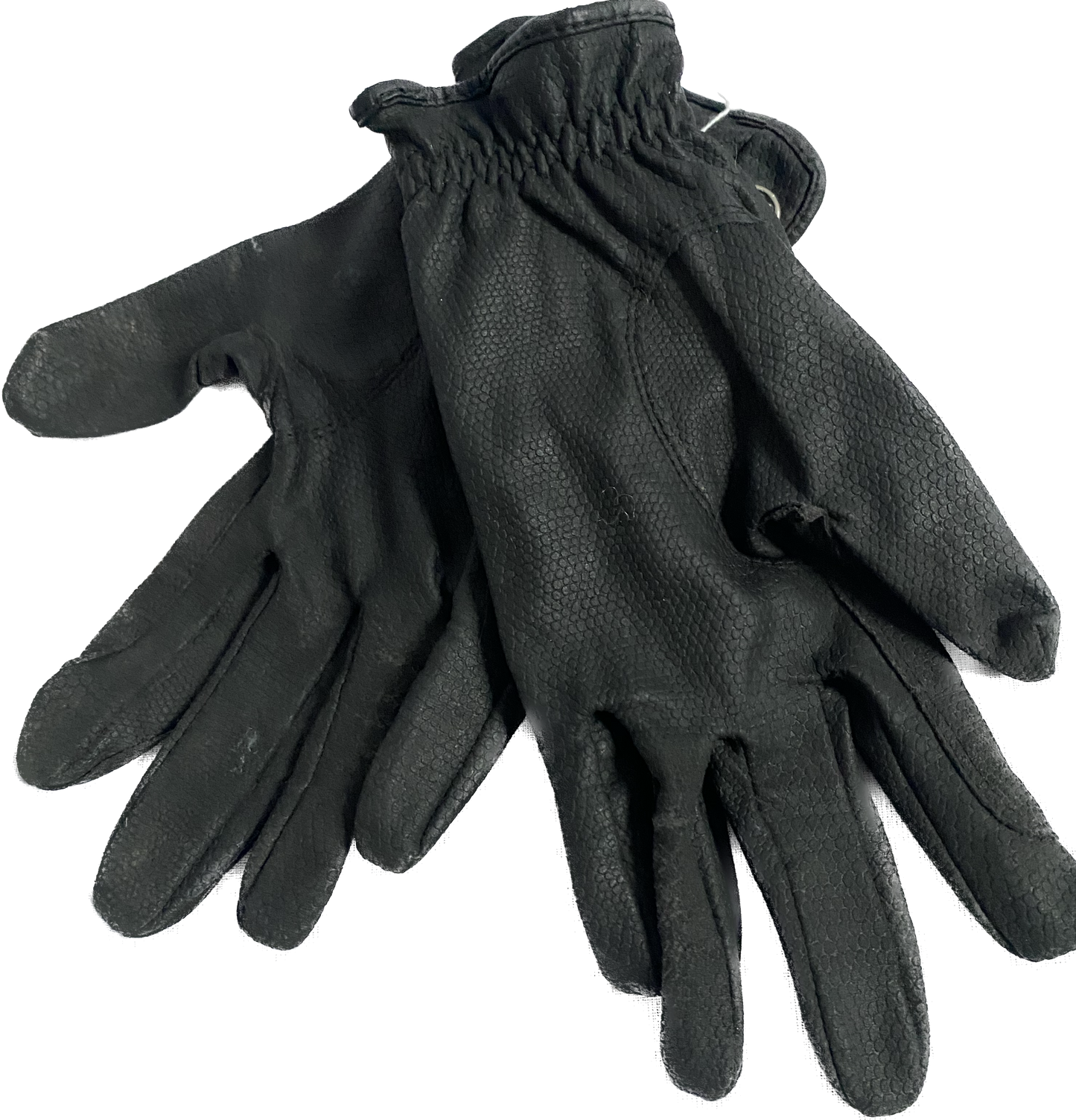 Riding gloves | Hauke Schmidt