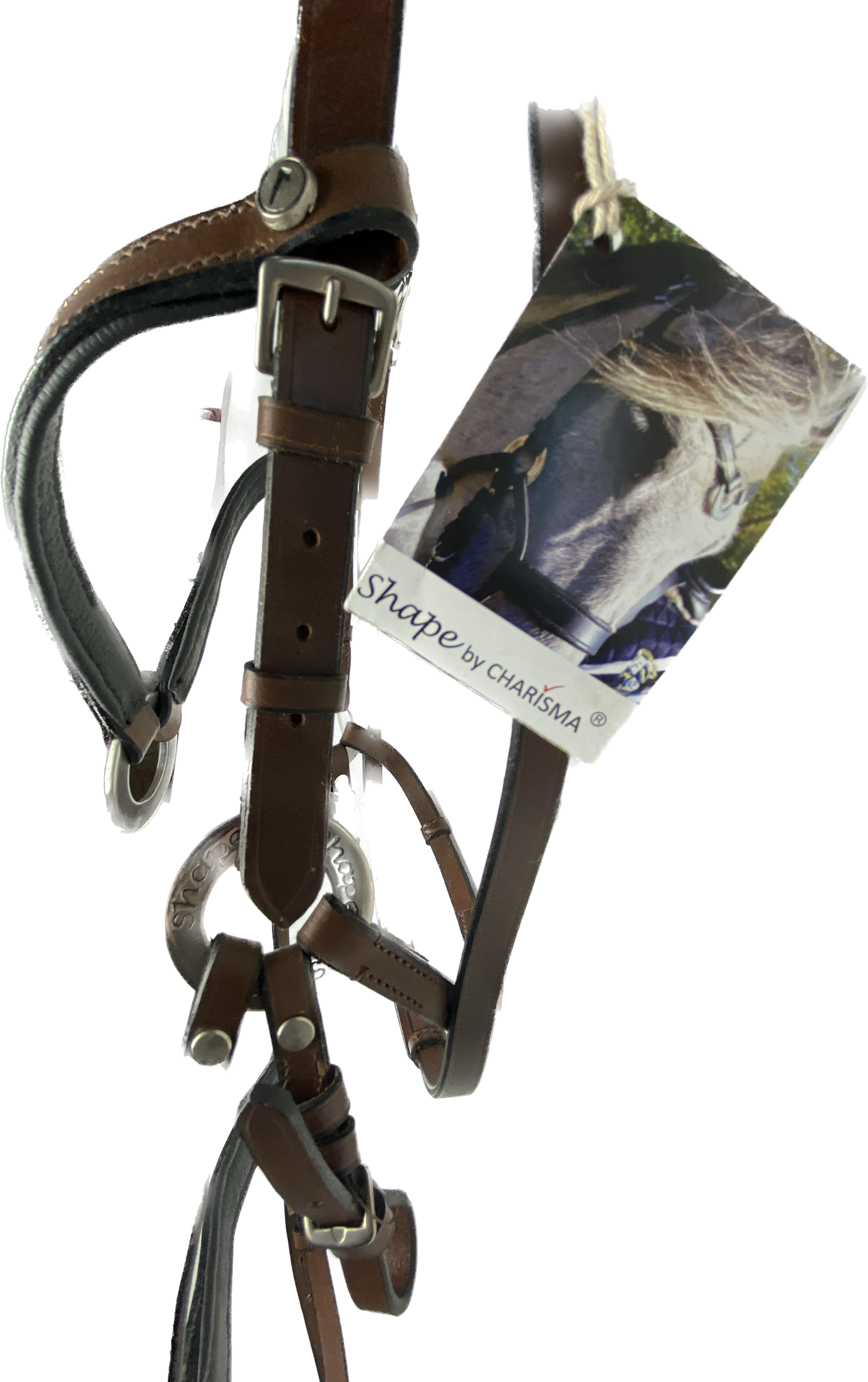 Bridle | Shape by Charisma