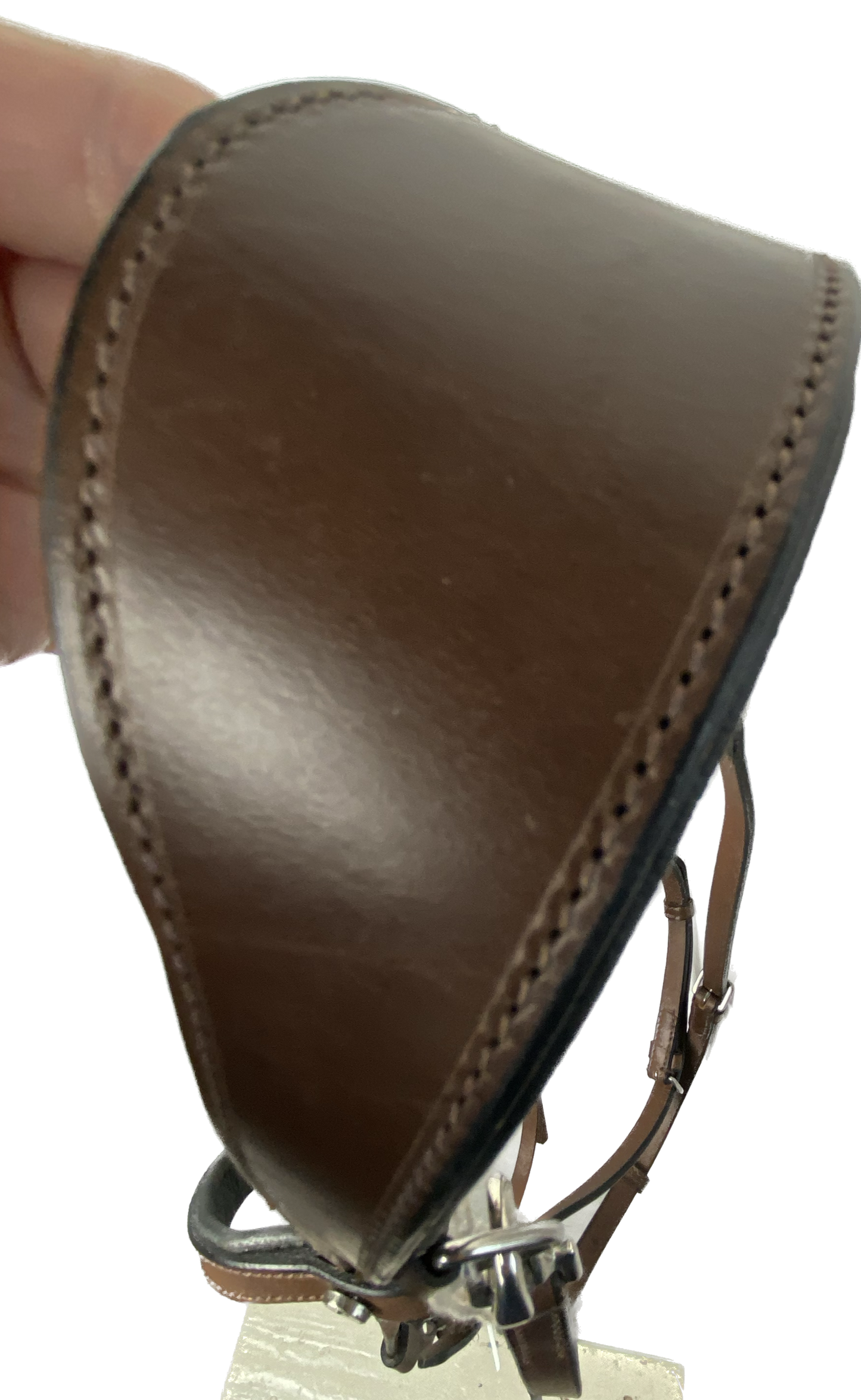 Bridle | Shape by Charisma