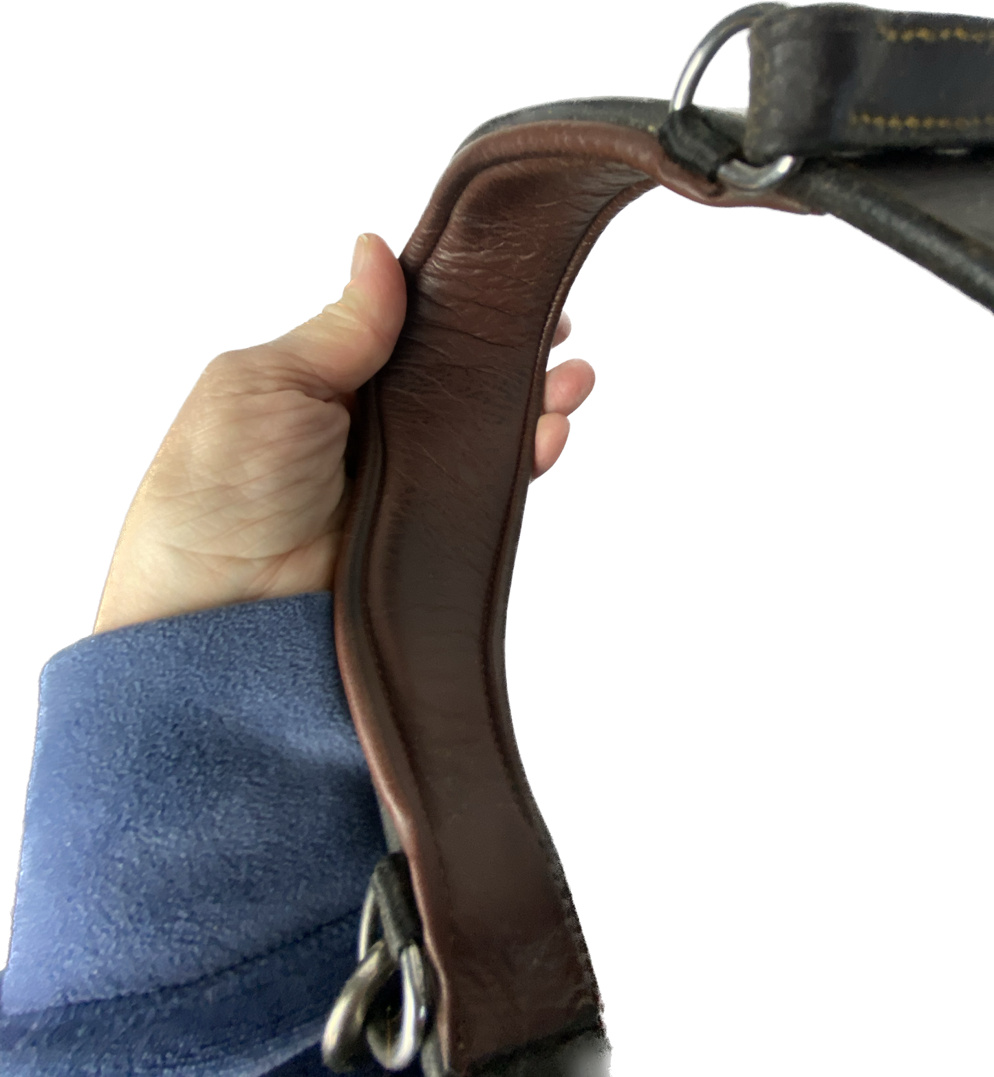 Bridle | Cob | Dyón Fancy