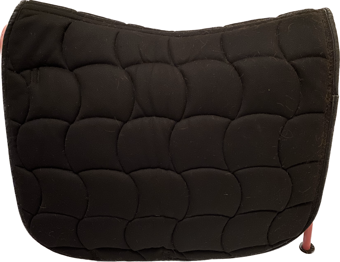 Saddle pad | Gold Medal