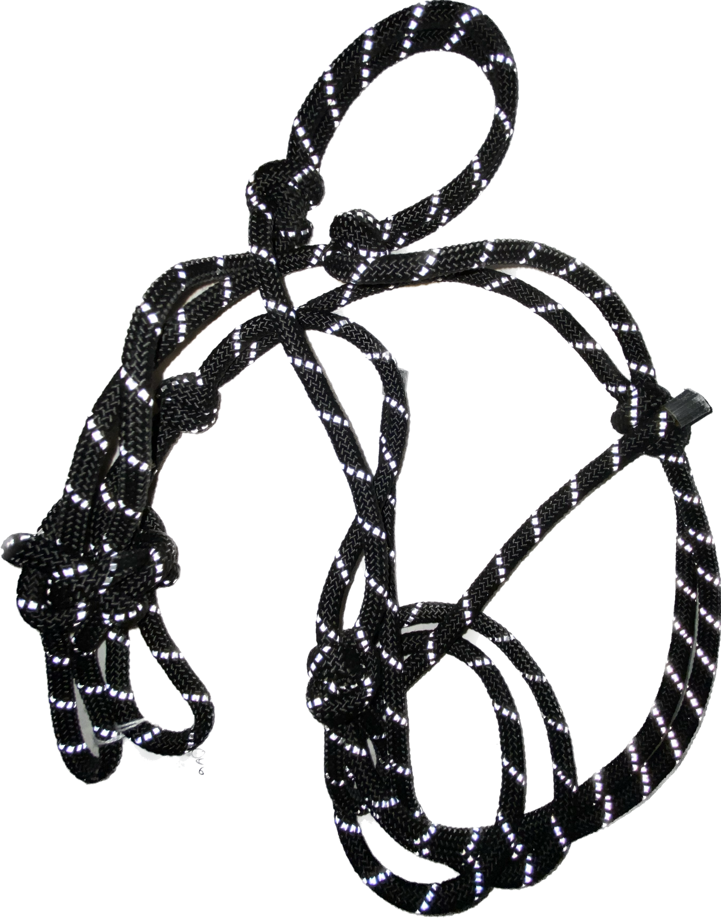 Rope halter