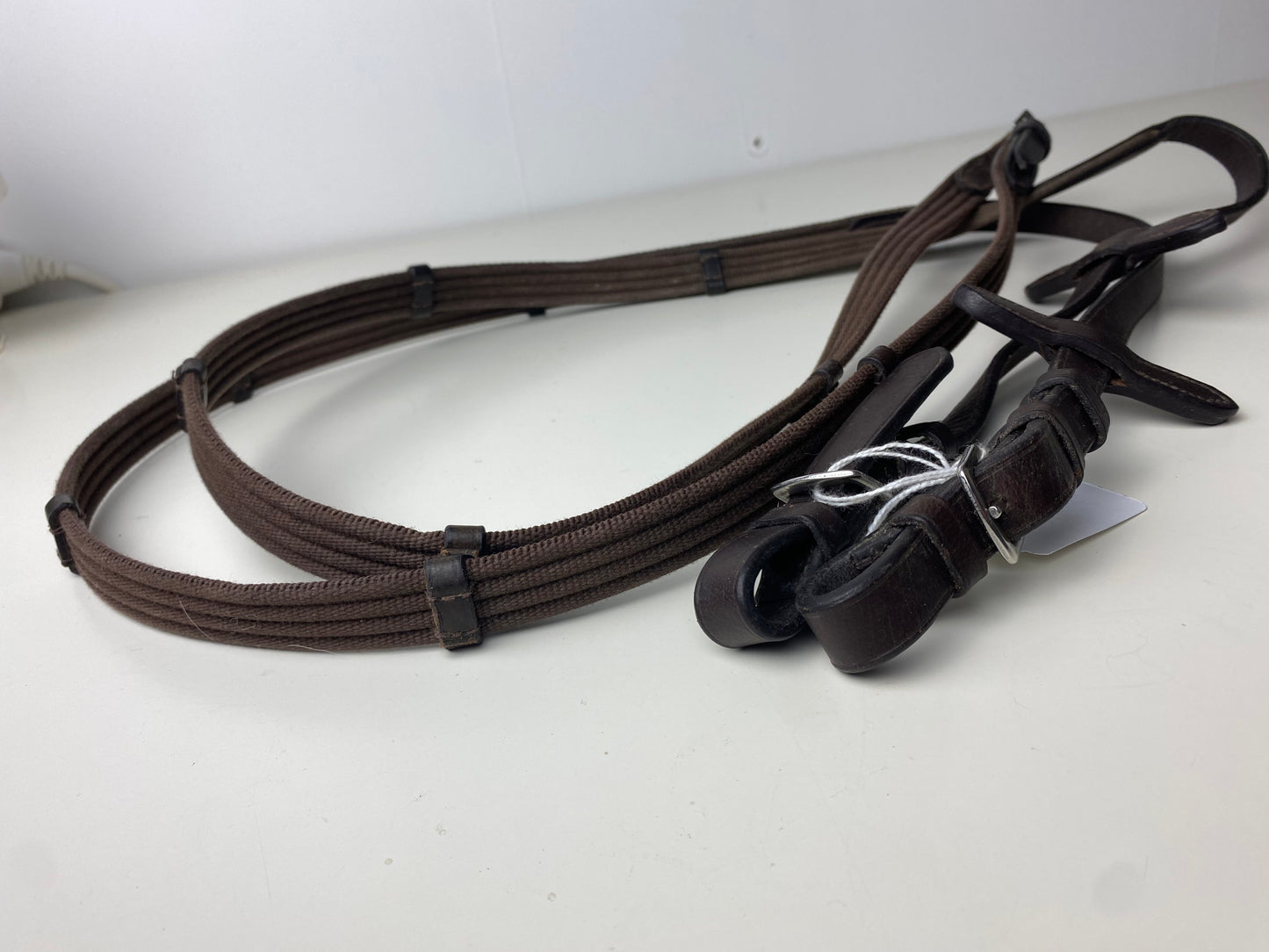 Rein in woven rib