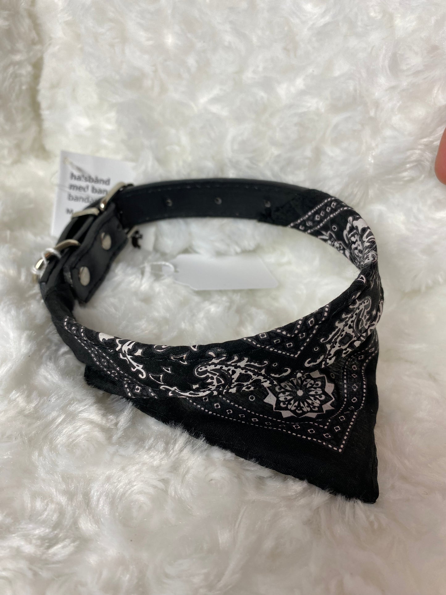 Dog collar with bandana | M