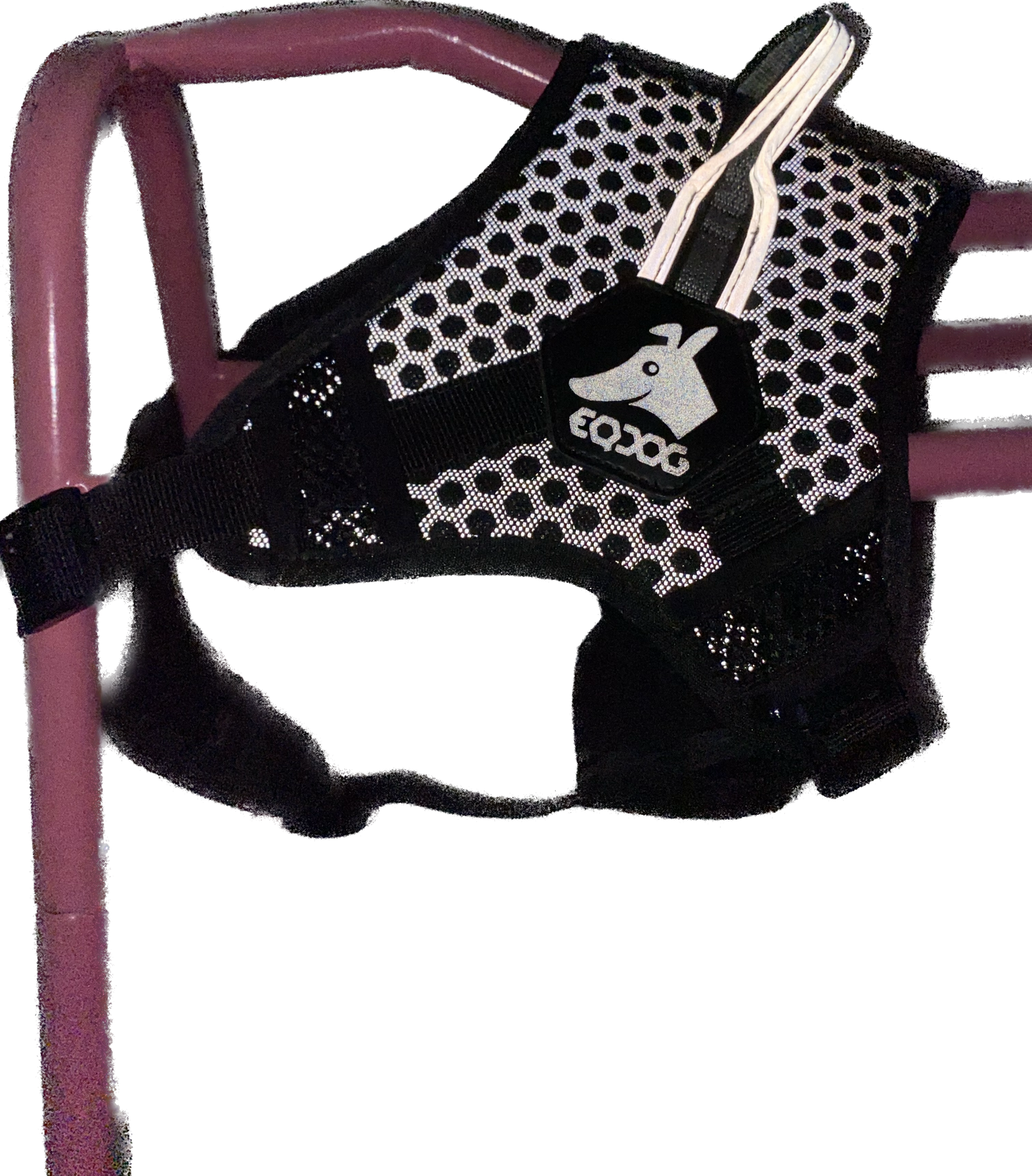 Dog harness with reflector | EQDOG