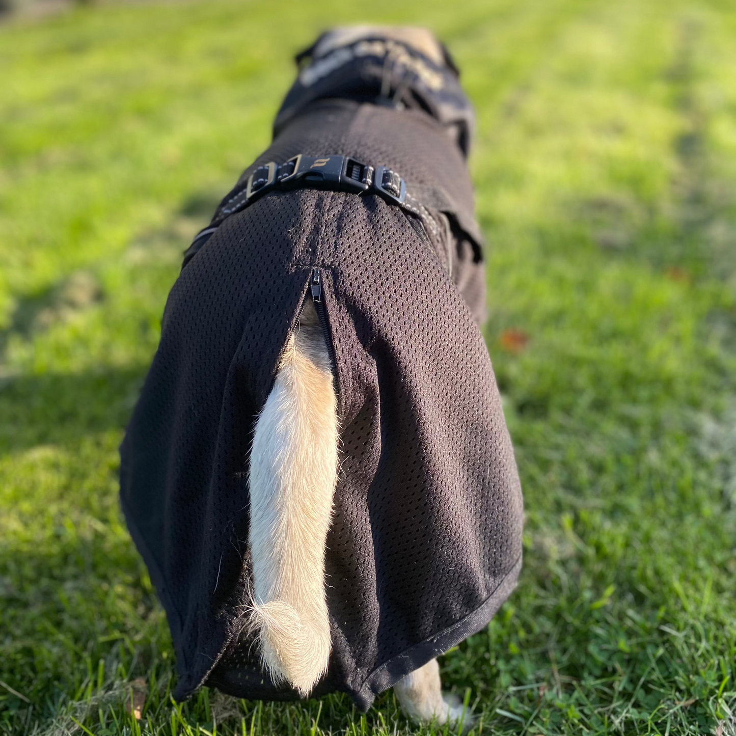 Dog Mesh Rug Reflective | 37 | Back on Track