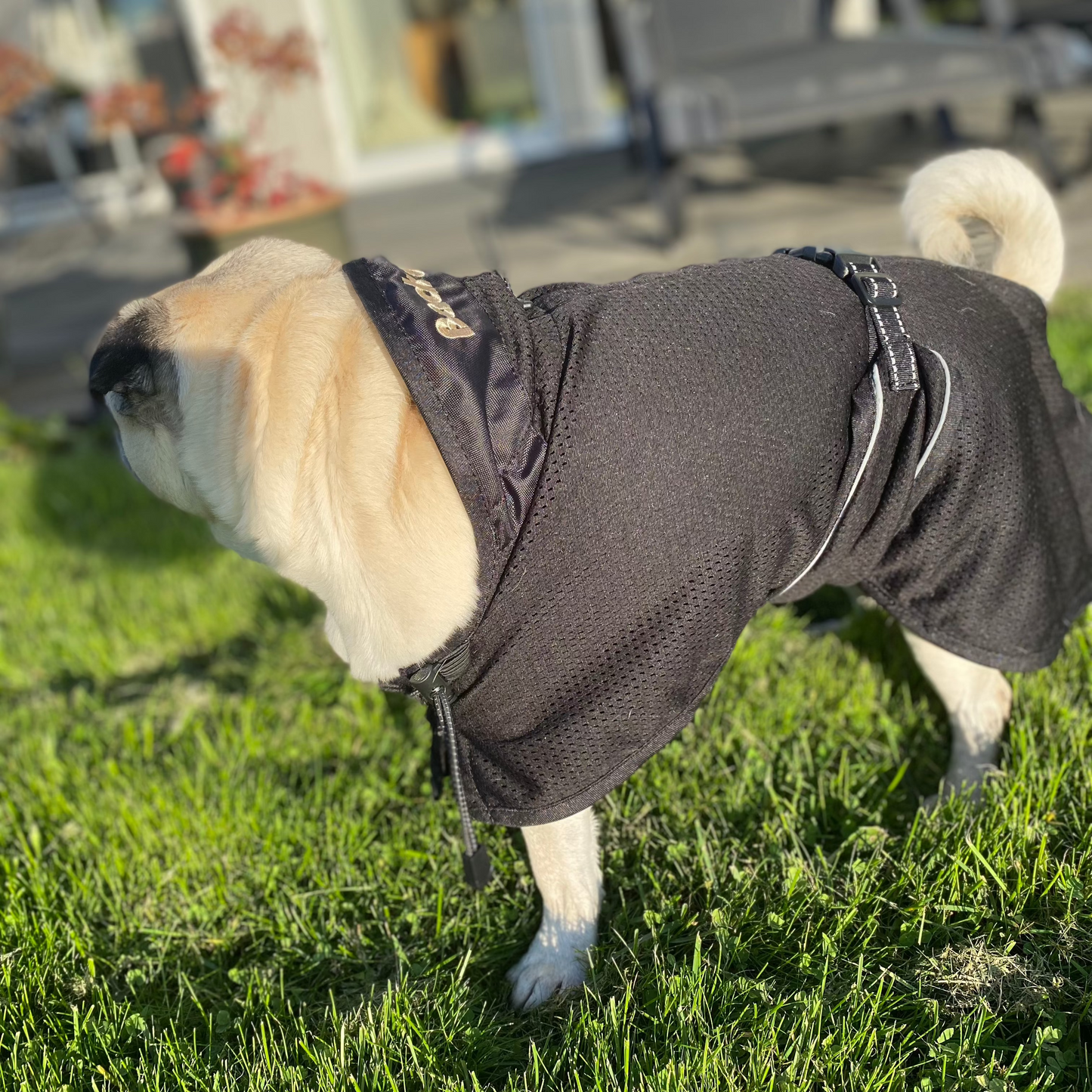 Dog Mesh Rug Reflective | 37 | Back on Track
