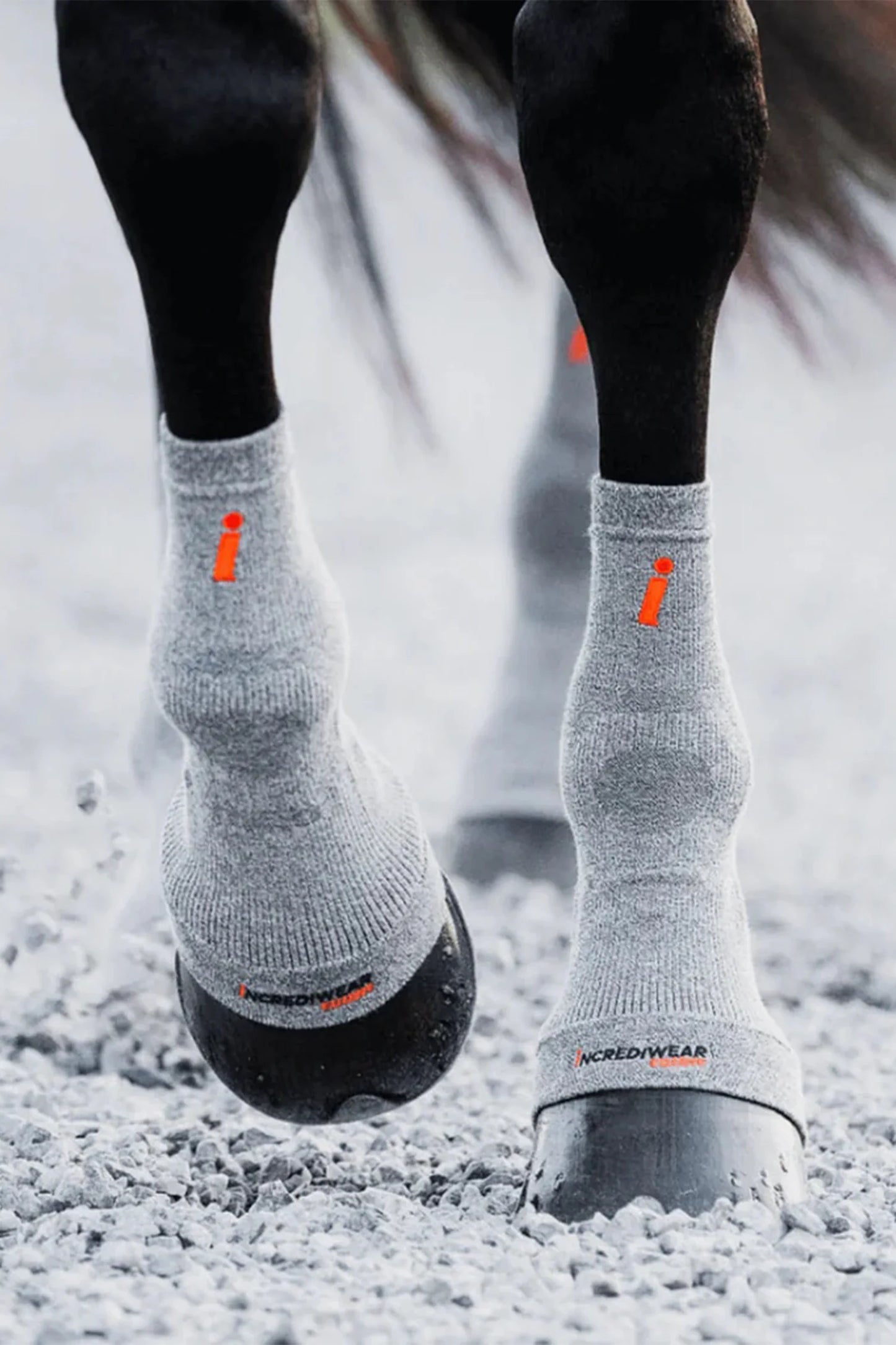 Hoof socks Active Recovery | Incrediwear Equine