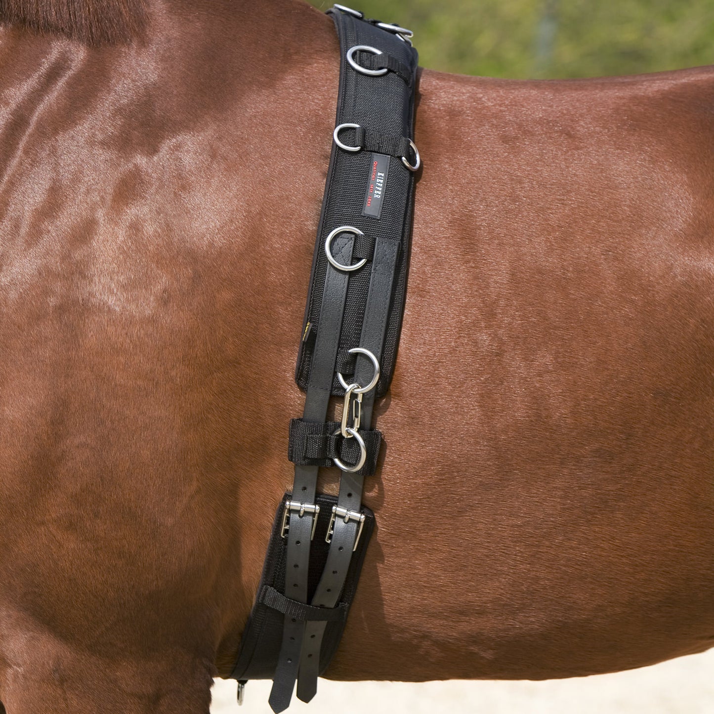 Emptying belt | Kieffer