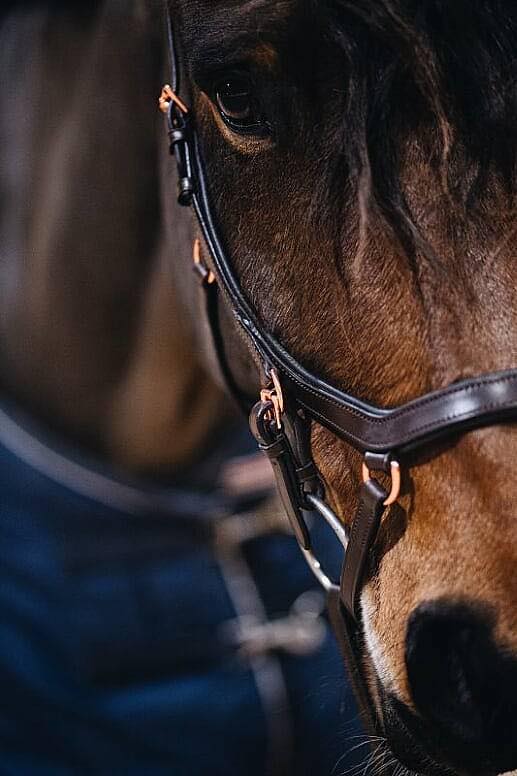 Bridle Diva | Full | Crystal Crown