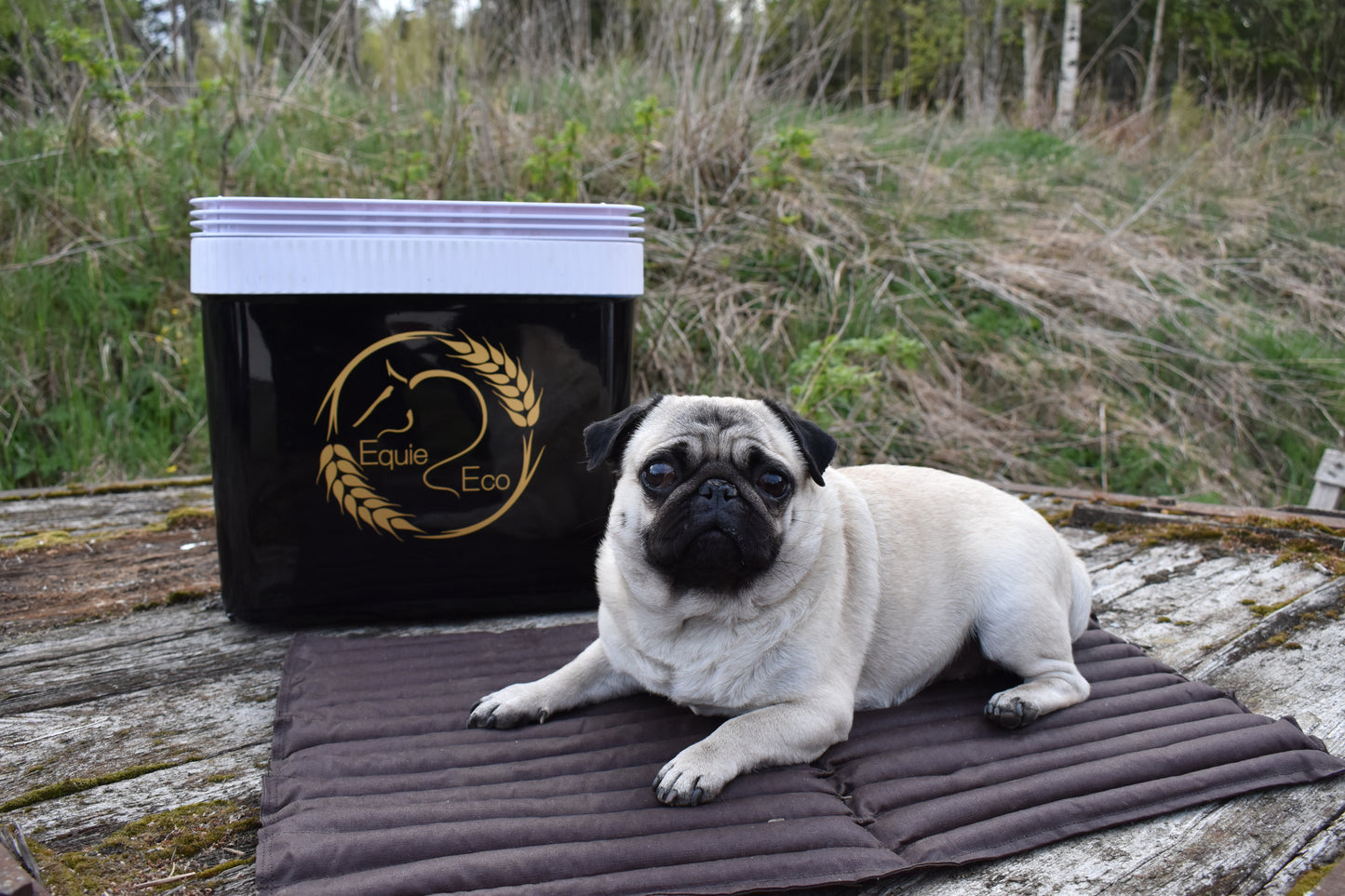 Back warmer/ Wheat mattress | Equie Eco