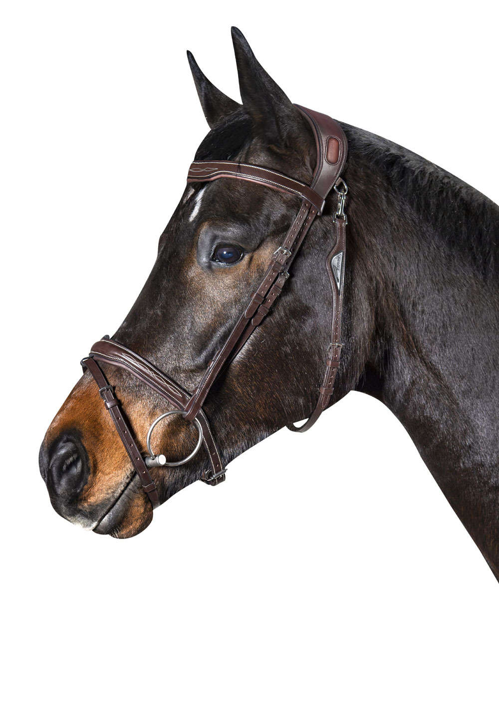 Anatomiskt Träns JP | Full | Equiline Testeria Anatomica Light JP - Equi ReUse Sweden AB