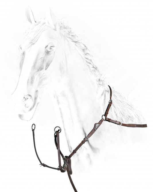 Förbygel inkl. martingal | Equiline - Equi ReUse Sweden AB