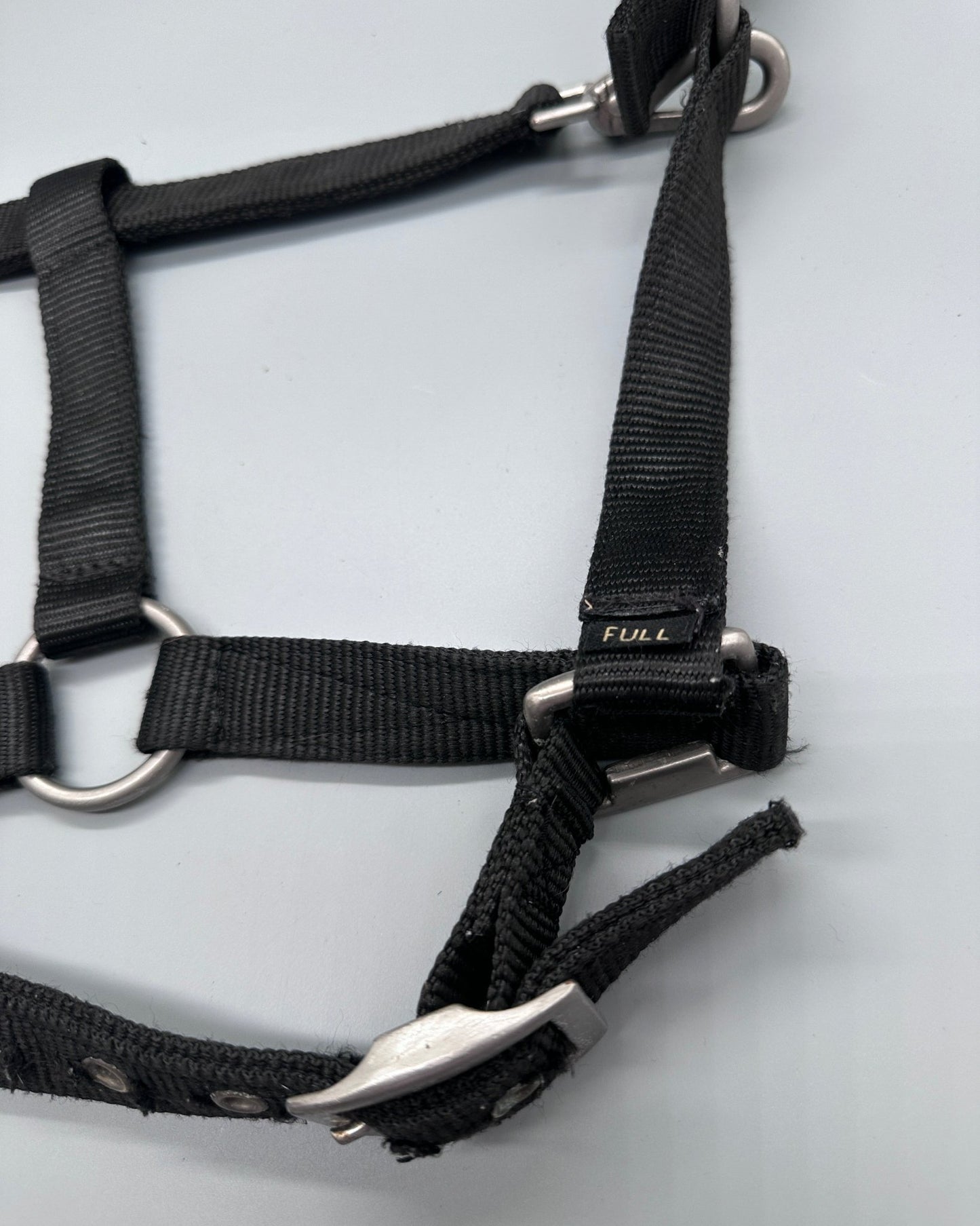 Grimma | Full | - Grimma - Equi ReUse Sweden AB