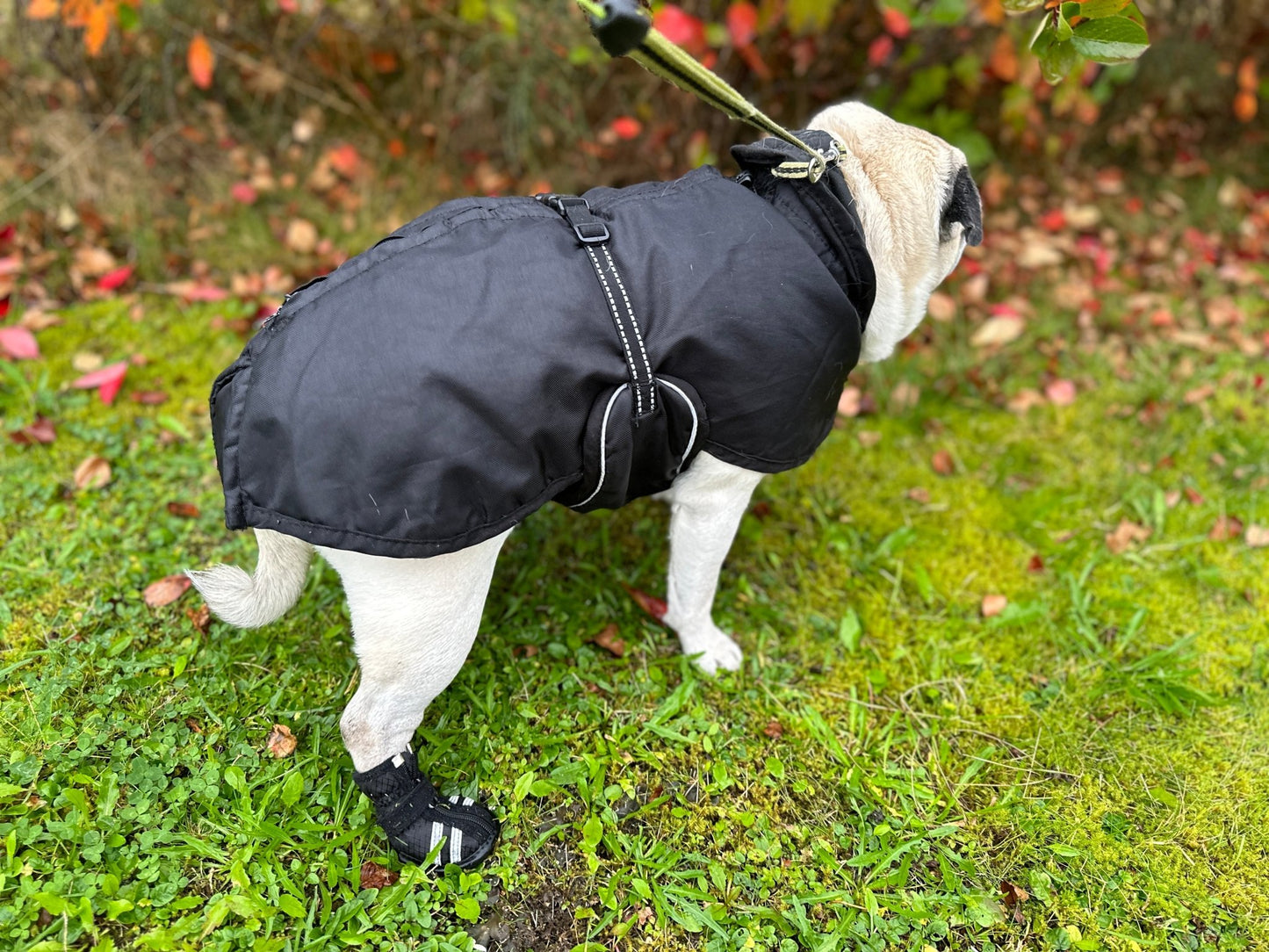 Hundtäcke allround | 34 | Back on Track - Equi ReUse Sweden AB