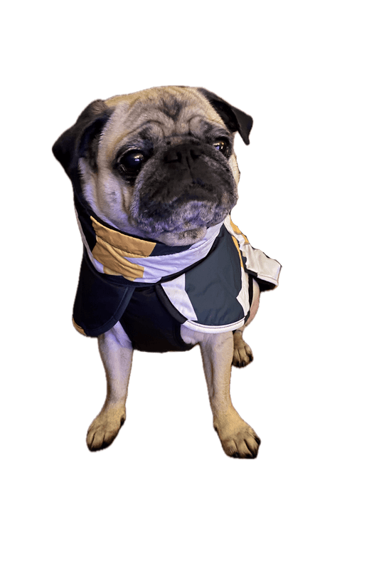 Hundtäcke med och reflexdetaljer | 35 | Rukka - Equi ReUse Sweden AB