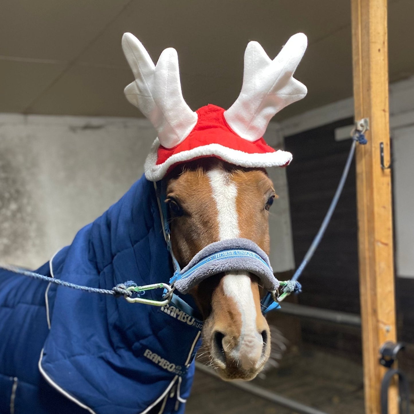 Julset för häst 6 delar - Equi ReUse Sweden AB