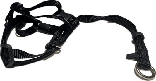 Kattsele | PetCare Active Cats - Equi ReUse Sweden AB