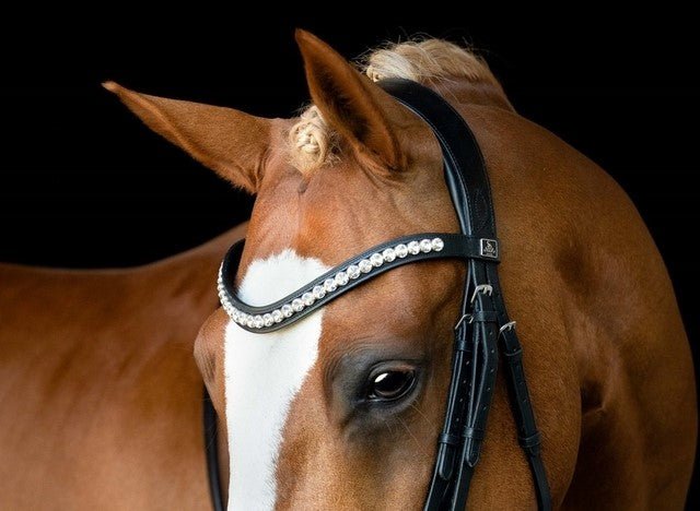 Pannband Mystery | Cob & Full | SD Design - Equi ReUse Sweden AB