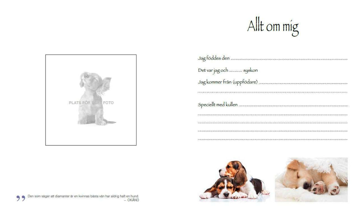 Bok | Mitt härliga hundliv