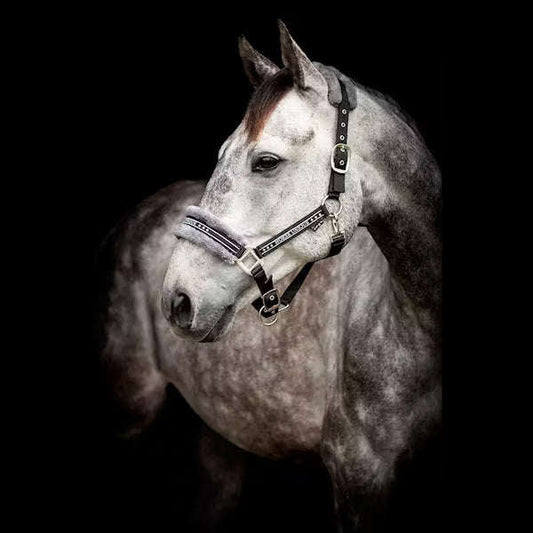Grimma Horse Unique | XFull | Källquist Equestrian