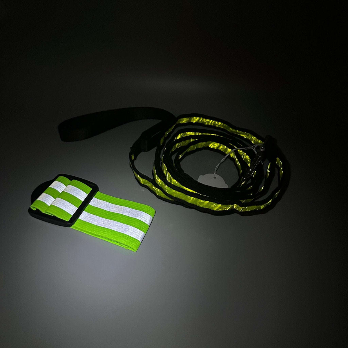 Hundkoppel med LED-ljus plus reflexband