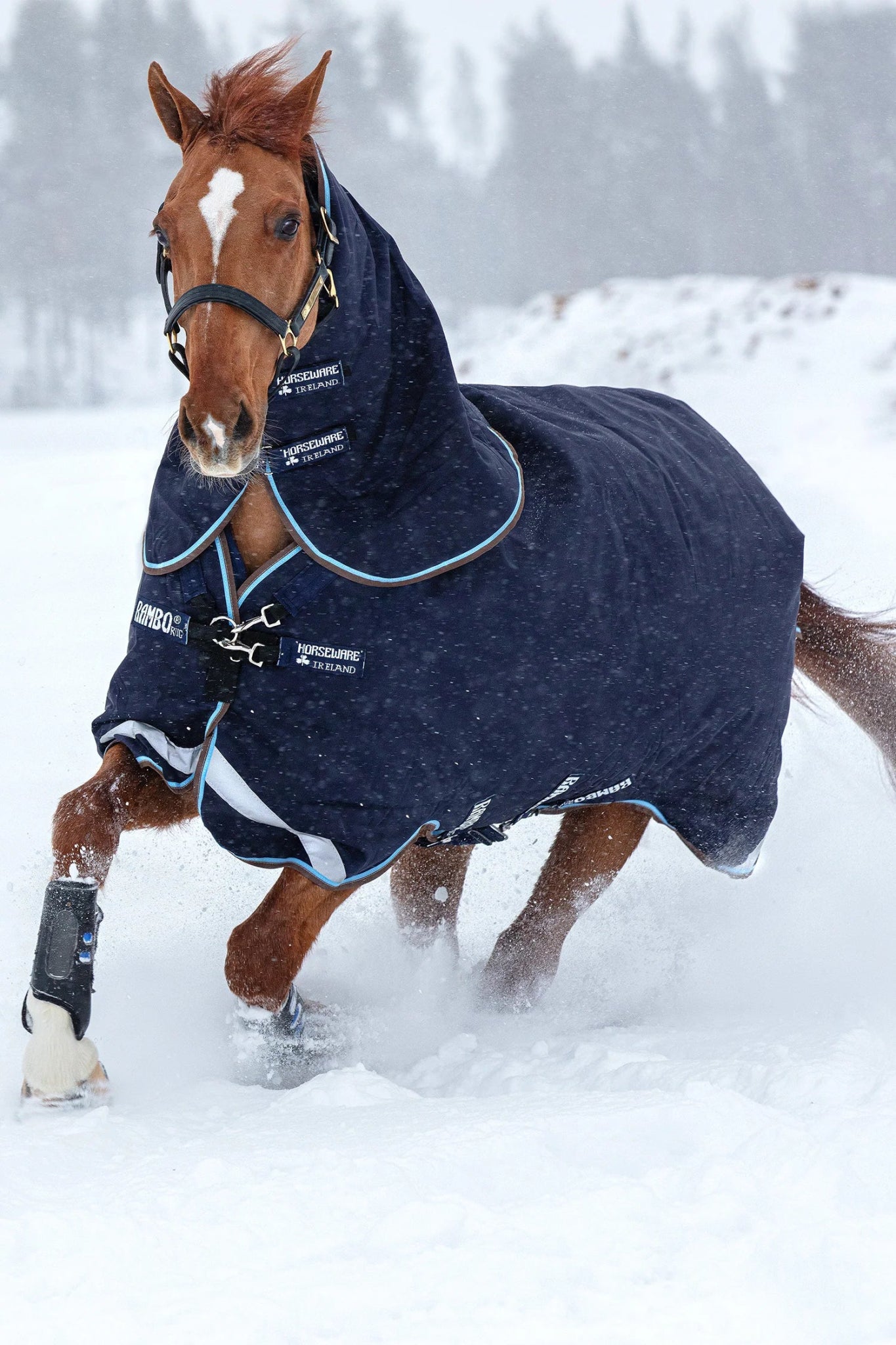 Rambo Duo 100g + 300g liner | 125 | Horseware - Equi ReUse Sweden AB