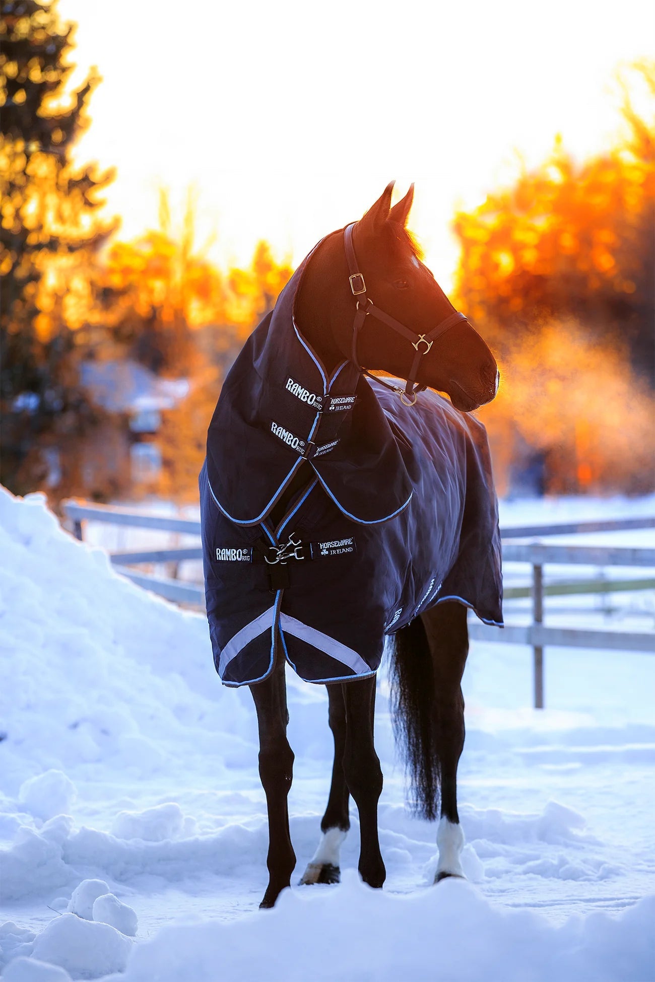 Rambo Duo 100g + 300g liner | 125 | Horseware - Equi ReUse Sweden AB