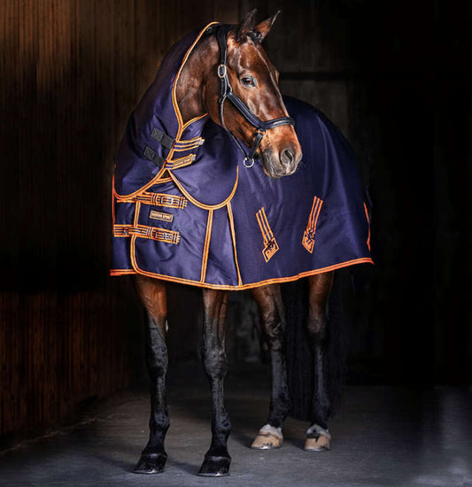 Vintertäcke 300g | 155 | Hansbo Sport - Equi ReUse Sweden AB
