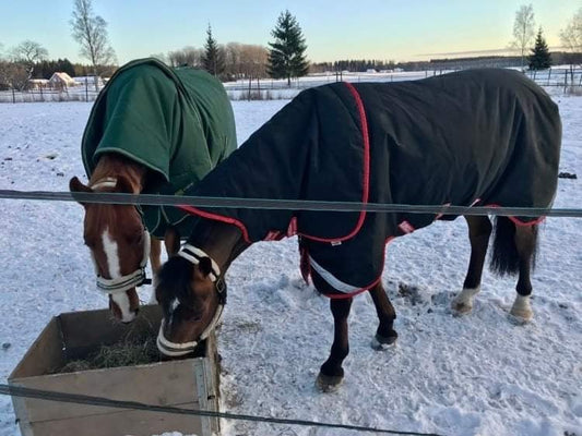 Dagens fråga i stallet: Vad blir det för väder imorgon☀️🌨️💨🌦️ - Equi ReUse Sweden AB