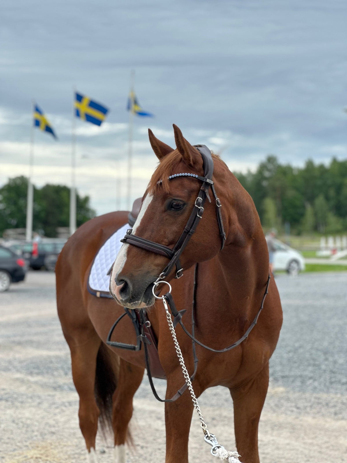 HÄST - Equi ReUse Sweden AB