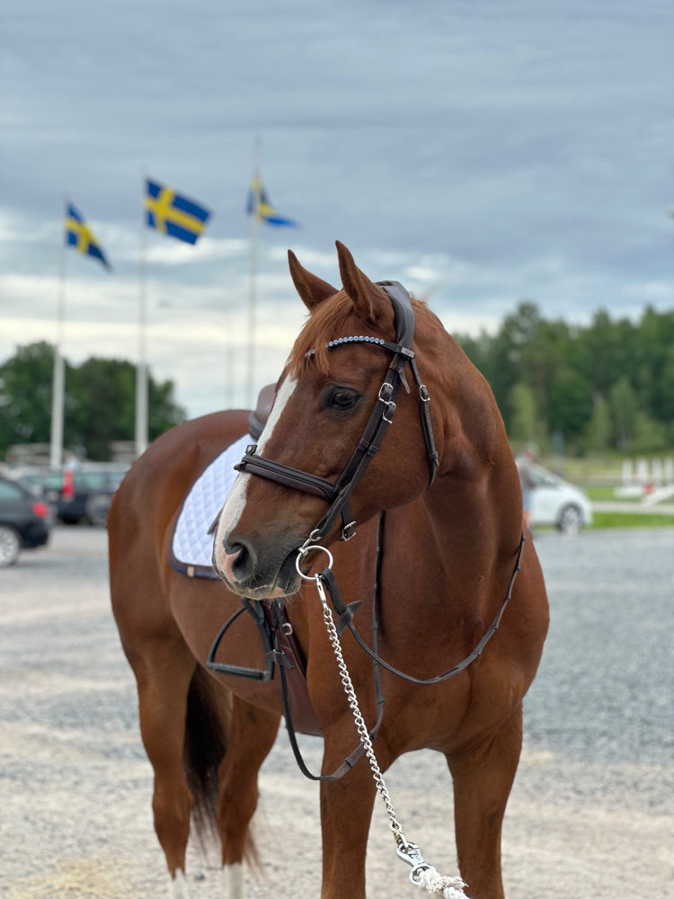 HÄST