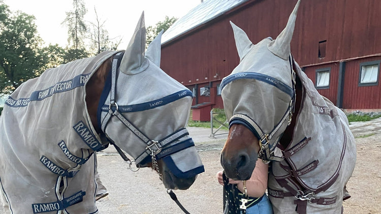 Flug- & insektsskydd inom Second Hand - Equi ReUse Sweden AB