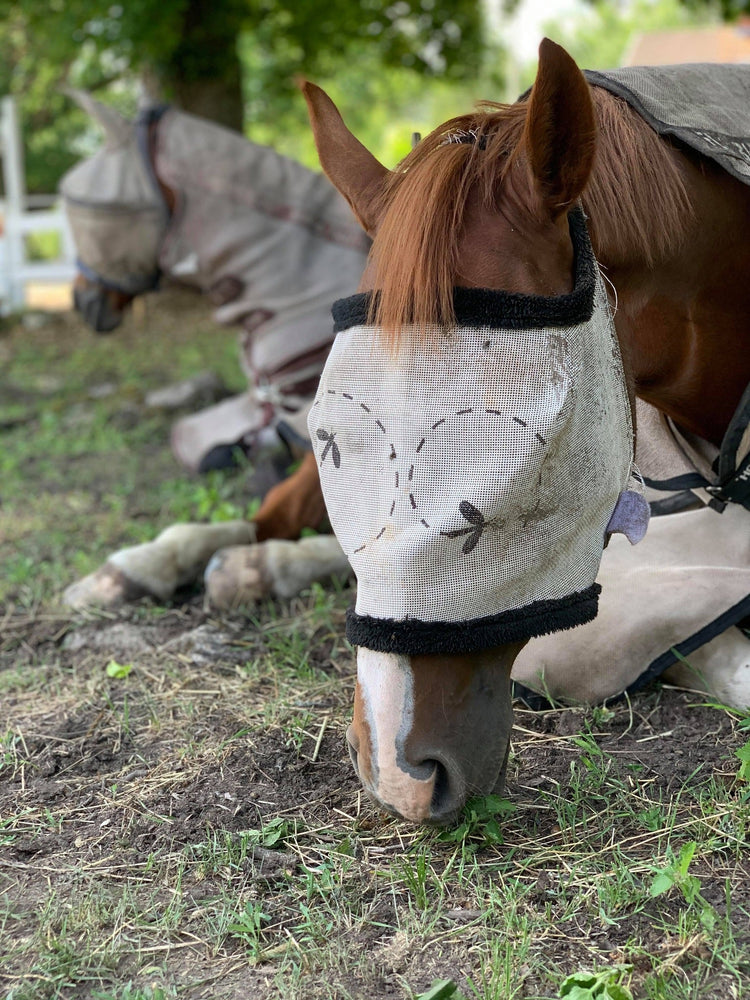 Flughuvor inom Second Hand - Equi ReUse Sweden AB