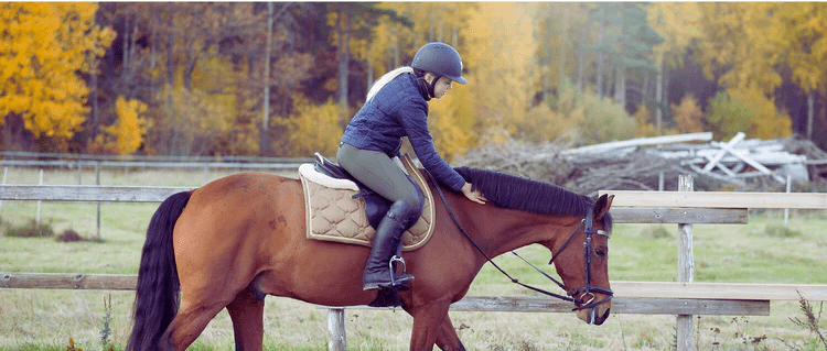 Ryttare rider på ponny med en skog i höstfärger i bakgrunden - Equi ReUse Sweden AB