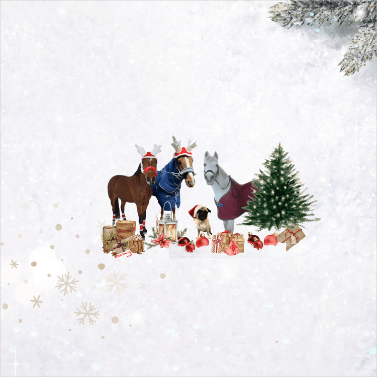 JUL - Equi ReUse Sweden AB