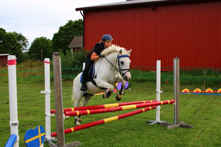 JUNIOR - Equi ReUse Sweden AB