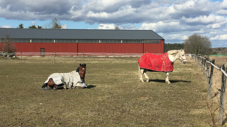 Stall & Hage - Equi ReUse Sweden AB