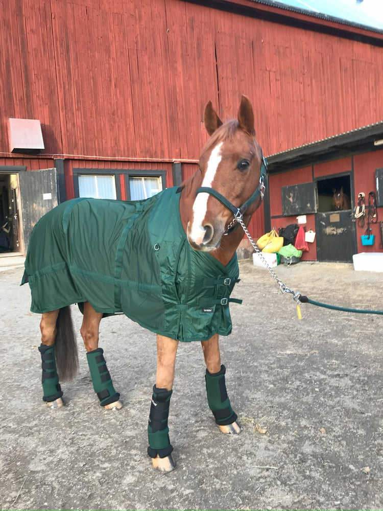 Svett- & funktionstäcken inom Second Hand - Equi ReUse Sweden AB