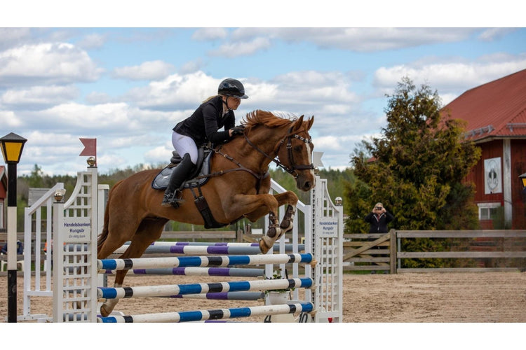 🏇🏽 Tävling & transport 🚛 - Equi ReUse Sweden AB