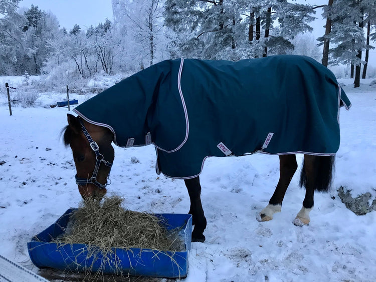 VINTER - Häst - Equi ReUse Sweden AB