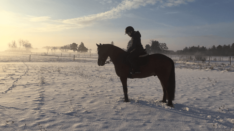 VINTER - Ryttare - Equi ReUse Sweden AB