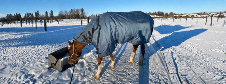 Vinter- & Utetäcken 200 - 500g | Second Hand - Equi ReUse Sweden AB