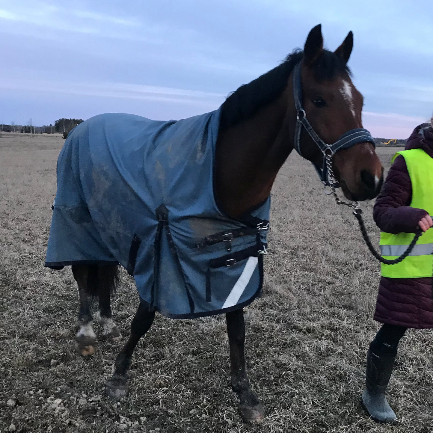 Utetäcke 100g | 135 | Shires Typhoon