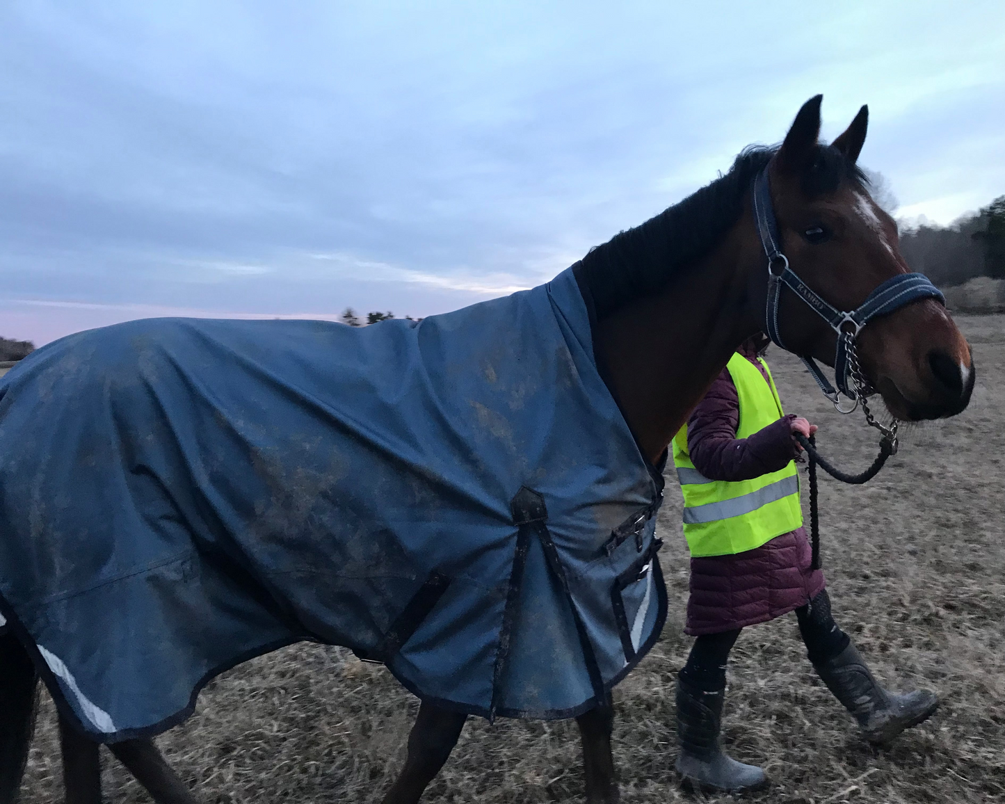 Utetäcke 100g | 135 | Shires Typhoon